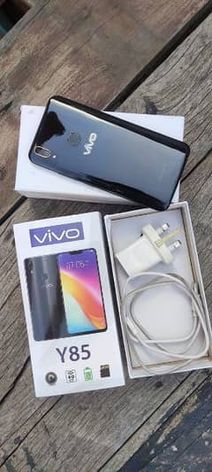 vivo