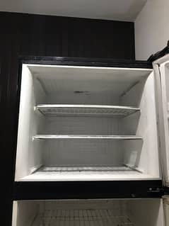 pel fridge for sale xl size glass fridge