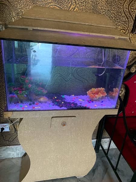 Fish Aquarium Almost New 4