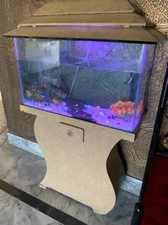 Fish Aquarium (2.5ft) (Filter+Pump+Decoration)