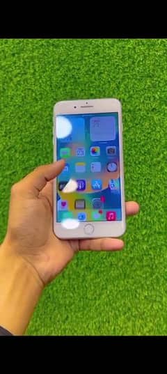 iPhone 7 plus 256 GB PTA porad my WhatsApp 03188638101