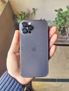 iphone 12 pro 256 0