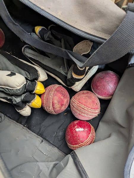 Cricket Kit bag 8