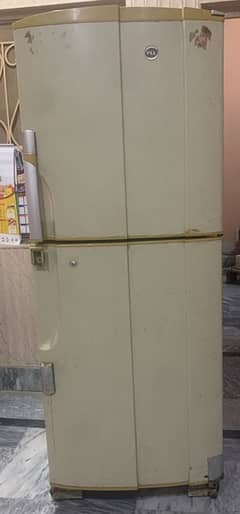 PEL Refrigirator For Sale(full Size)