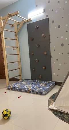 monkey Bar& Climbing Wall