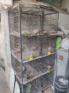 8 portion Cage for sale / Cage for Slae