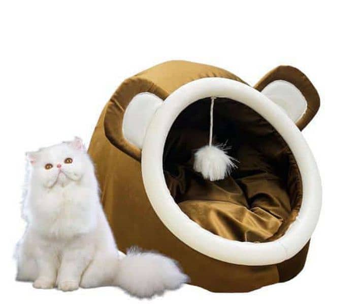 Cat and dog house 0