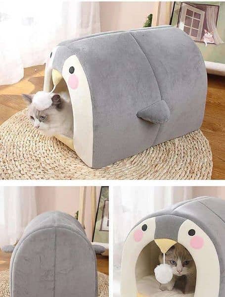 Cat and dog house 5