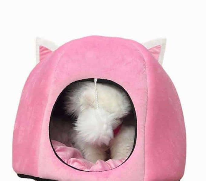 Cat and dog house 12