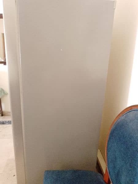 double door LG fridge 10