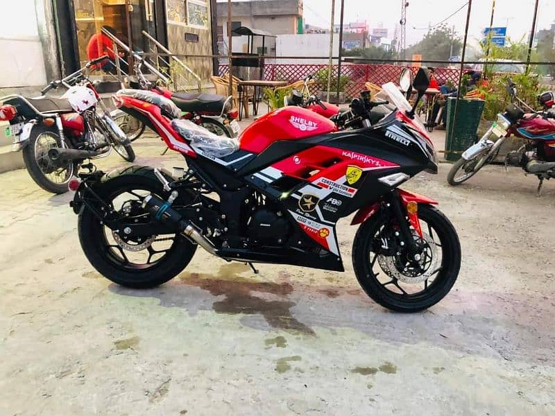 Kawasaki Ninja 250R replica 5