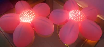 Flower Lights