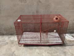 Cage for Birds