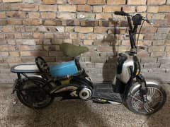 palesi electric scooty