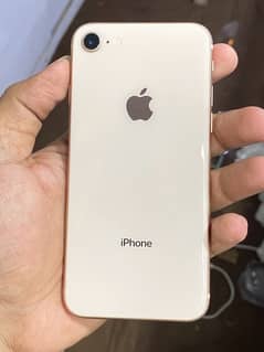 iphone 8 Bypas 64gb 100% BH 10/9