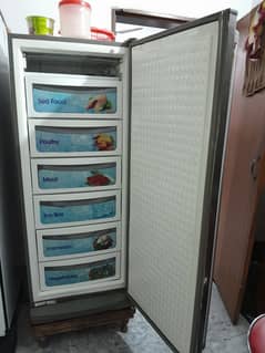 Vertical Freezer Dawlance