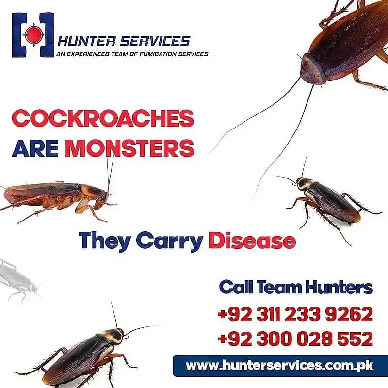 Pest Control/Fumigation Services /Dengue/Termite/General Fumigation 5