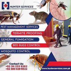 pest control / fumigation service / dengue / termite control /bed bugs