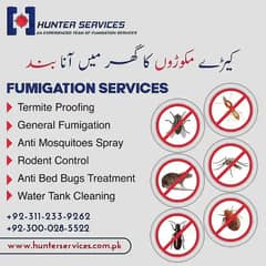 Bed Bugs | Termite | Cockroach | Pest Control | Fumigation in karachi