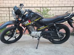 Yamaha YBR 125G Black Color, Brand New Condition, Islamabad, G-11/4