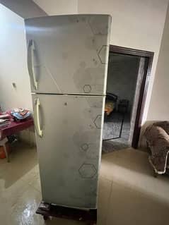 Hair Rfrigerator