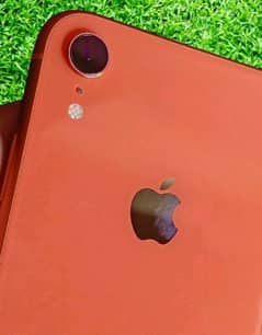 apple iphone XR 128gb PTA approved My Whatsapp 0346=1981=536