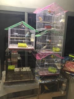 one season use cages for sale