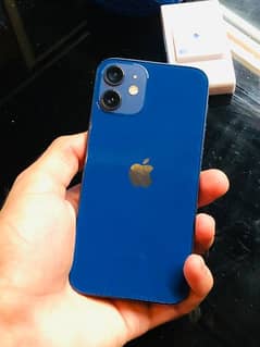 iPhone 12 mini