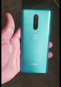 OnePlus 8 PTA approved