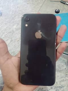 iPhone XR 64 gb 03190384191 WhatsApp