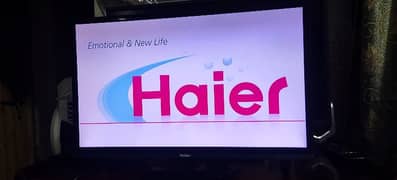 Haier 24 Inch LED Full HD TV (LE24P600)