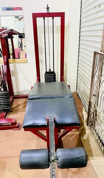 Leg Extension + Prone Leg Curl machine gym 2