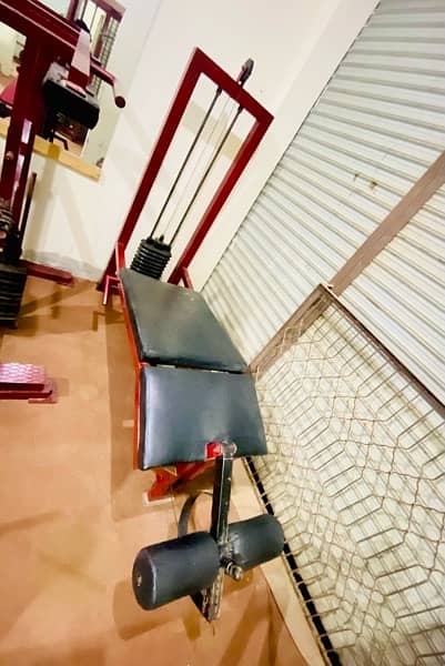 Leg Extension + Prone Leg Curl machine gym 3