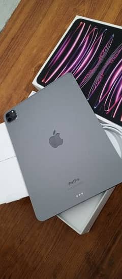 iPad Pro M2 11inch 4th generation