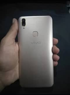 vivo