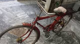 Pakistani Bicycle