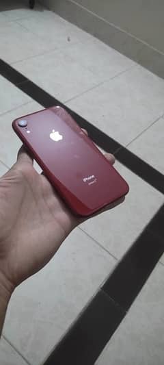 iphone xr 128gb nonpta waterpack