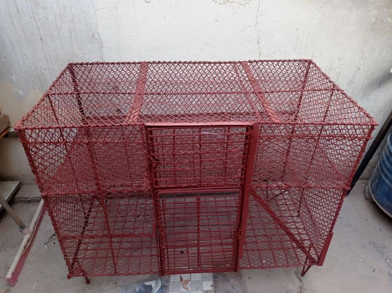 Cage Pinjra 3