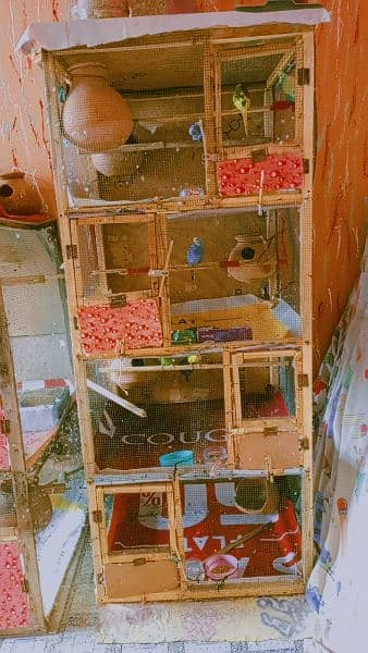 A four-box(چار خانے والا) budgies wood cage. 0