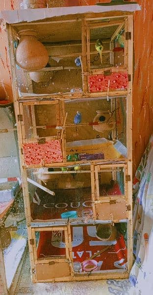 A four-box(چار خانے والا) budgies wood cage. 2