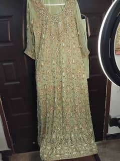 Full Embroidered Chiffon Pista green Maxi