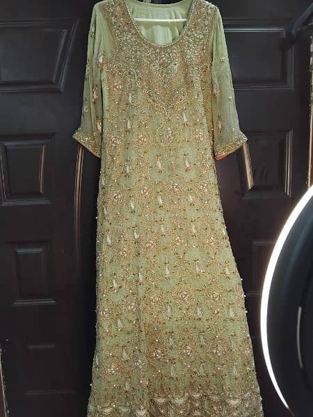 Full Embroidered Chiffon Pista green Maxi 1