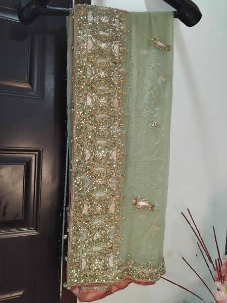 Full Embroidered Chiffon Pista green Maxi 12