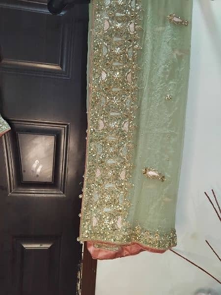 Full Embroidered Chiffon Pista green Maxi 13