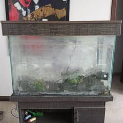 Aquarium with wood shelf