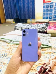 iphone 12mini