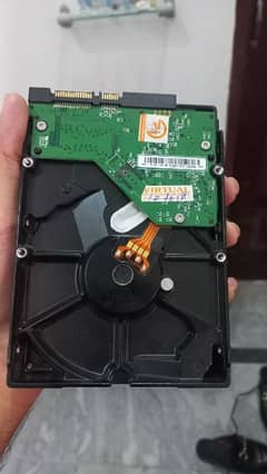 Cpu hard disk 160 GB WD company