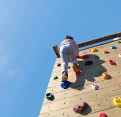 30 Climber/ Climbing/ Climbing holds/ wall climbing/ climbing wall/