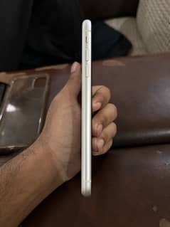 iphone 11 pta approved