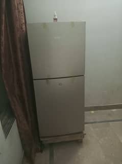 fridge